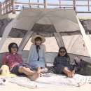 백조민박 이미지