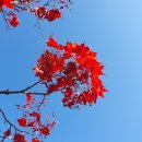 구룡계곡 순환코스 | 치악산둘레길 제2코스 구룡길 .치악산국립공원사무소