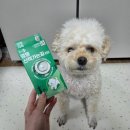 (주)헬로마이펫 이미지