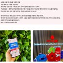 롯데쇼핑(주)e커머스사업본부 | 롯데쇼핑(주)e커머스사업본부 키즈 온라인md