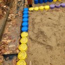 냉정초등학교 | 학교 안전환경 개선 프로젝트｜고무기둥 안전경계석 시공 사례 소개