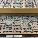 지니스안경 군산수송점 이미지