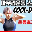 삐약스핏 이미지
