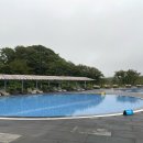 에코랜드 호텔 | 제주 에코랜드 호텔 호캉스 후기｜수영장 야경, 혼자 쉬기 좋은 숙소