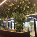 마리앤쥬(ZOO) 이미지