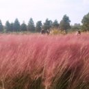 레인보우캐슬리조트 이미지