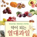 푸른과일 - 부천시 소사구 범안로 10 | 푸른과일