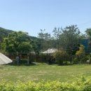 달려라 해피 이미지