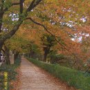 희원