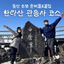 관음사 입구 다리 | 등산 초보의 겨울 한라산 관음사 코스 후기(예약방법, 준비물, 등산 복장, 소요시간 등)