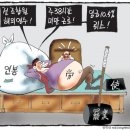 7월13일 화요일 영상칼럼(휴식) 이미지