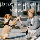 J0203 이미지