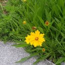 이대로행정사 이미지