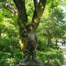 덕진-45 | 전주 무료 힐링명소 전주수목원 산책로 풍경