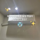 이영약품 | 부산진구 전포동 에어컨청소 꽃집 새벽 비대면 분해 세척! "눈으로 확인하는 청소의 가치"