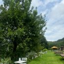 호우목장 이미지