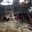 유계농장 이미지