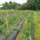 기순농장 이미지