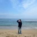 스테이 니와 이미지