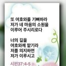 샬롬 이미지