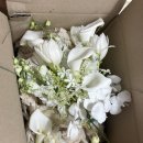 리프 | 결혼식 웨딩 부케 말리기 선물 추천, 레진 부케 보관 전국 택배 가능한 리프센트 후기