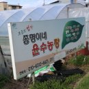 윤수농장 이미지