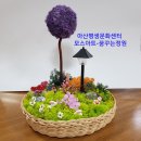 아산평생문화센터 모스아트-꿈꾸는 정원 이미지