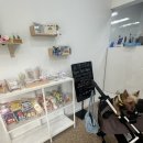 댕댕반점 | 김해 강아지 수제간식집 댕댕반점 원데이 클래스 후기