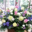 둔산중로-51 이미지