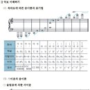 시크릿기타