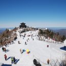 안성면109 이미지