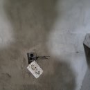수성로35번길 이미지