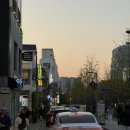 새로이족발 | 253 연남동 맛집 추천 '연남족발1987연남점' 이색적인 메뉴 족발튀김 후기