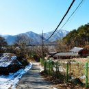 조안1리 이미지