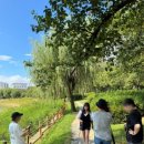 파파야 펜션 이미지