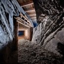 Dear My Blank 이미지