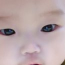 세아사우나 이미지