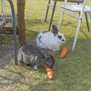 선흘하루 이미지