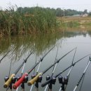 신관원제 이미지