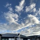 제주독채펜션돌집감성숙소돌담점 이미지