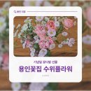수위플라워 | 용인 동백꽃집 수위플라워 기념일 부모님선물추천 꽃다발