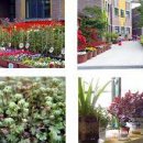 마재초등학교 이미지