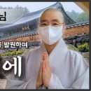 천도장묘 | 0816 무연고사망자 장례지원 봉사활동 후기