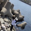 방파제 낚시 편의점 이미지