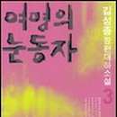 보도소로2-6 네이버블로그
