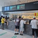 파주착한펜션 | 원주 가볼만한 곳 소금산 출렁다리 내돈내산 이용후기
