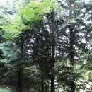 노을펜션 이미지