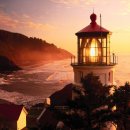 비전(Vision- 이미지