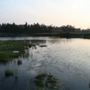 제주수월이 이미지