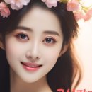 시라솔루션 이미지